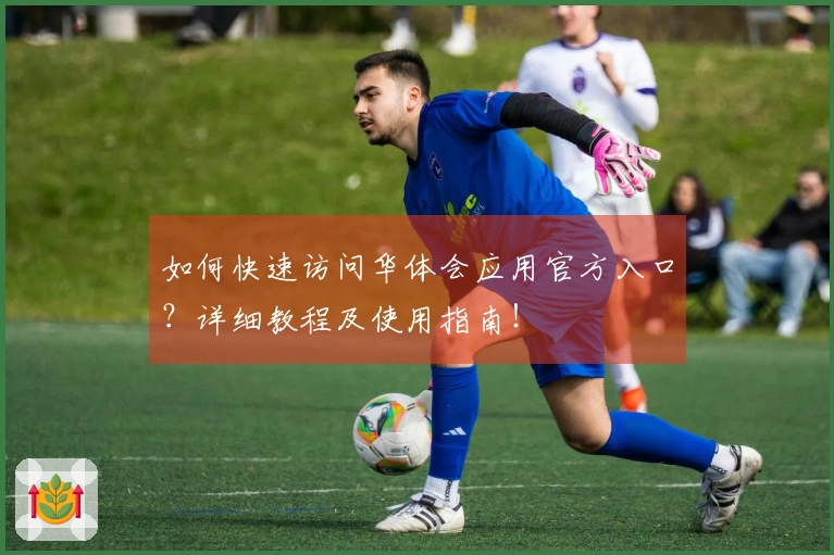 如何快速访问华体会应用官方入口？详细教程及使用指南！